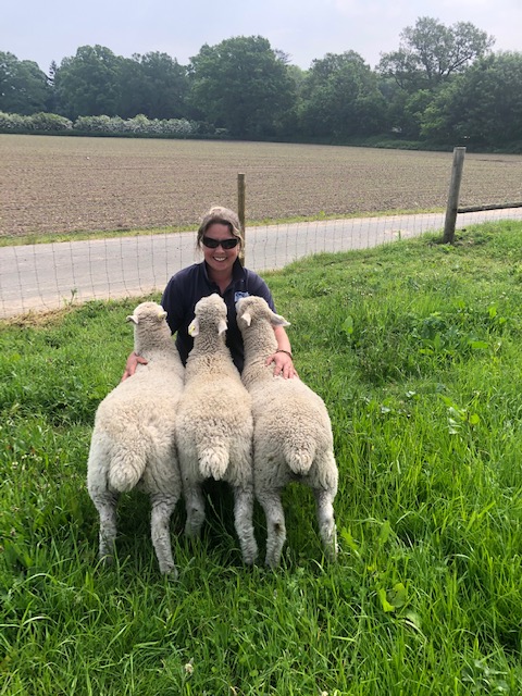 Gerry and Lambs